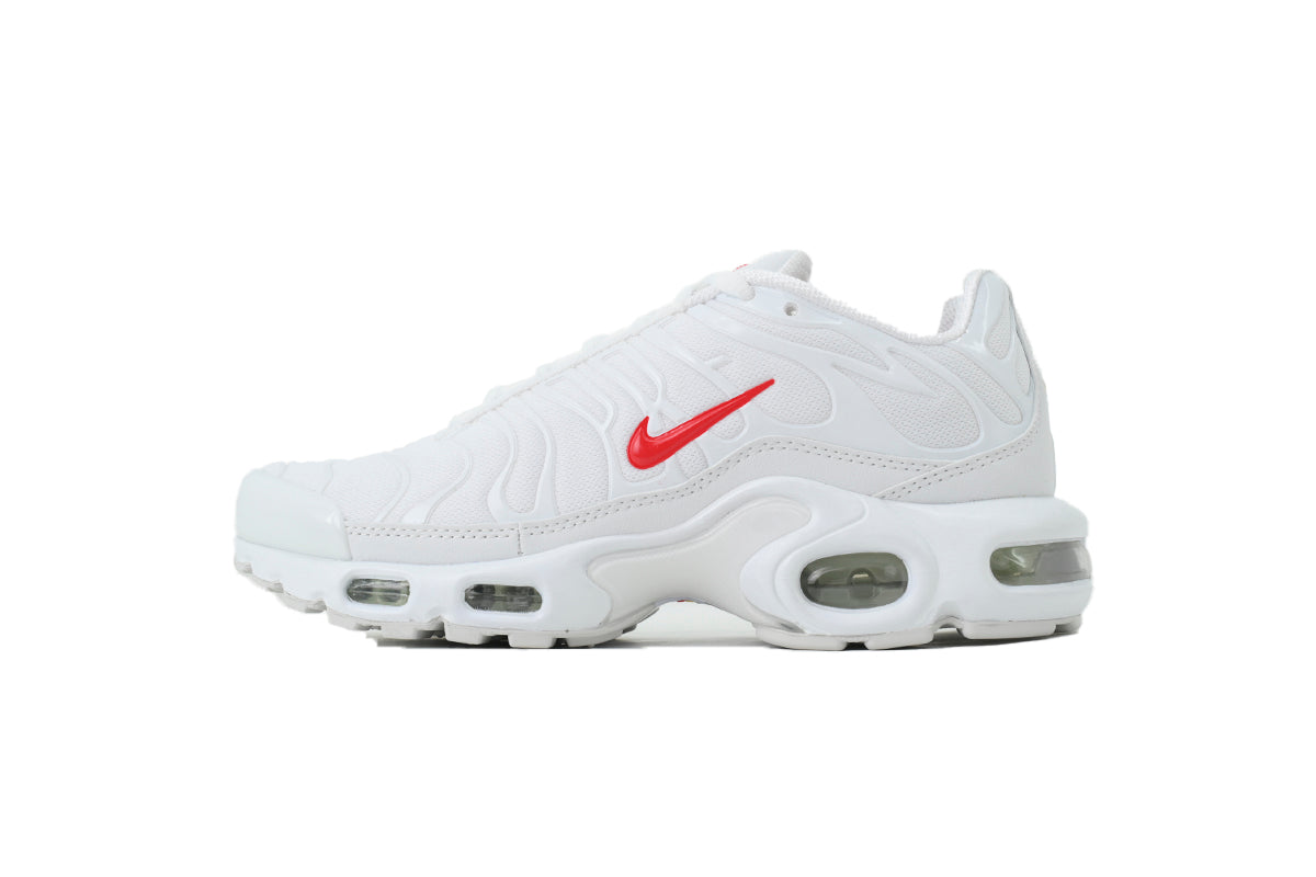 Nike Air Max Plus Sneakers | EU 39¨C47.5